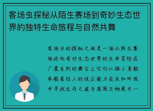 客场虫探秘从陌生赛场到奇妙生态世界的独特生命旅程与自然共舞 客场虫探秘从陌生赛场到奇妙生态世界的独特生命旅程与自然共舞